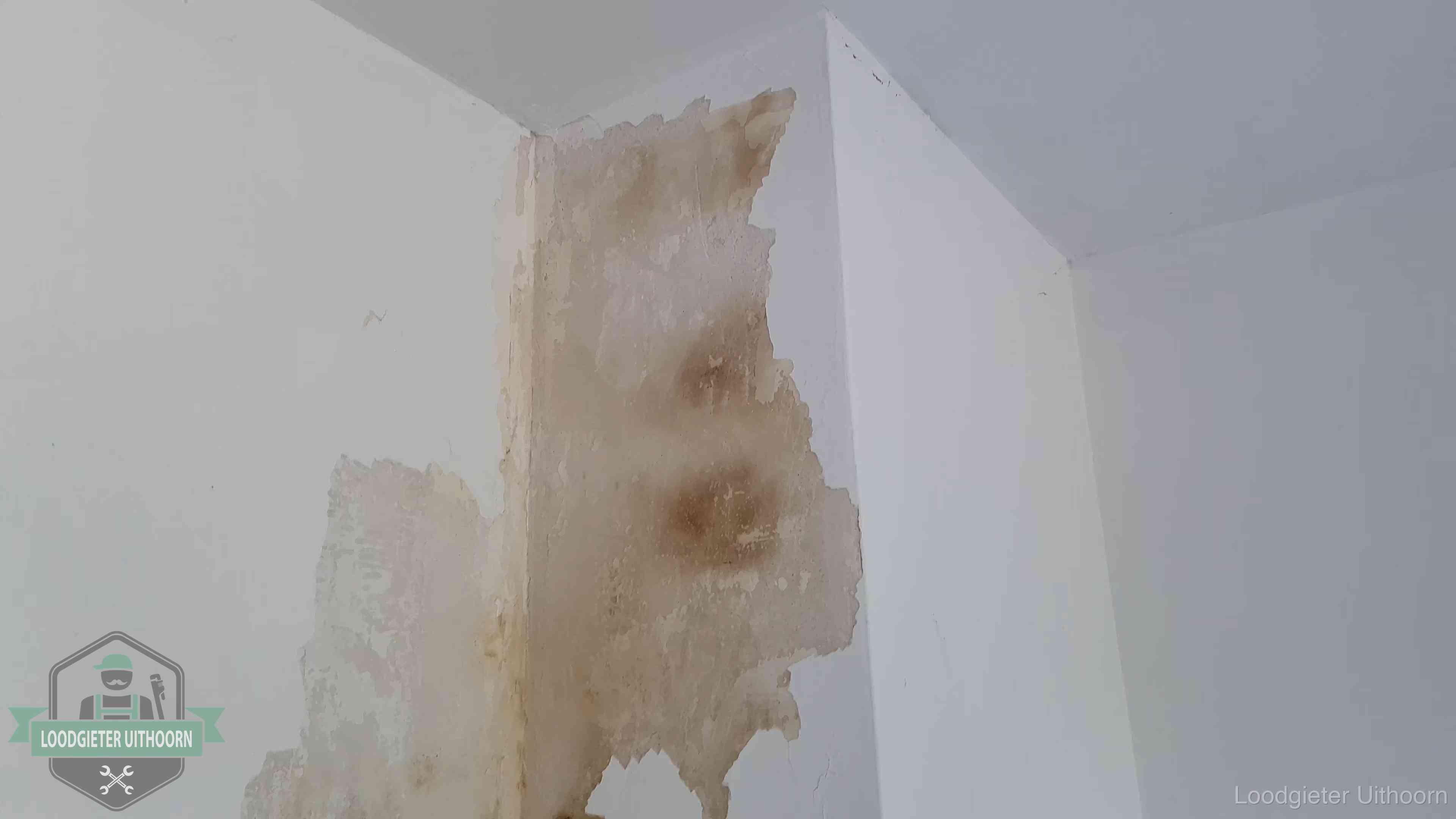 Daklekkage herkennen in Uithoorn Bruine vochtkringen en afbladderend stucwerk op een binnenmuur in Uithoorn, een eerste teken van daklekkage