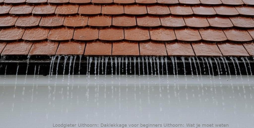 Daklekkage voor beginners Uithoorn: Wat je moet weten