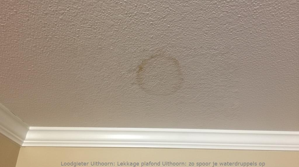 Lekkage plafond Uithoorn: zo spoor je waterdruppels op