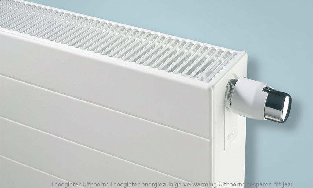 Loodgieter energiezuinige verwarming Uithoorn: besparen dit jaar