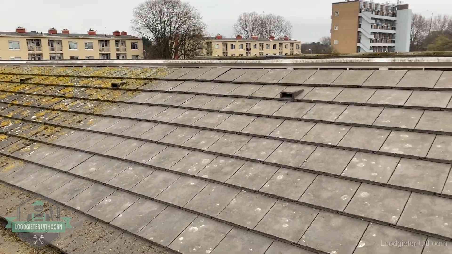 Dakpannen op een schuin dak in Uithoorn Schuin dak met betonpannen vol mos in Uithoorn, een risico op lekkage bij de pannen