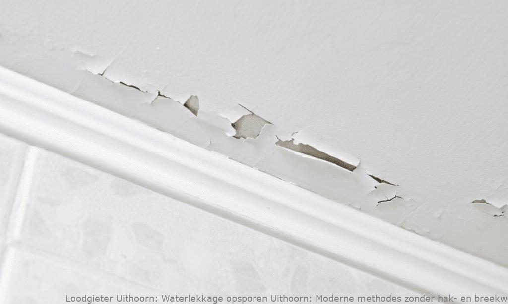 Waterlekkage opsporen Uithoorn: Moderne methodes zonder hak- en breekwerk
